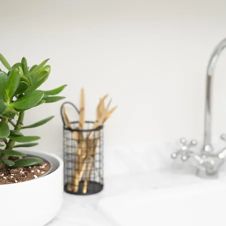 Aventurine Cismigiu Park شقة