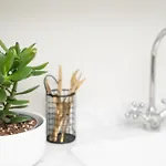 Aventurine Cismigiu Park Apartment